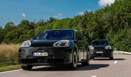 国产精品虎,传承与创新，展现中国设计魅力